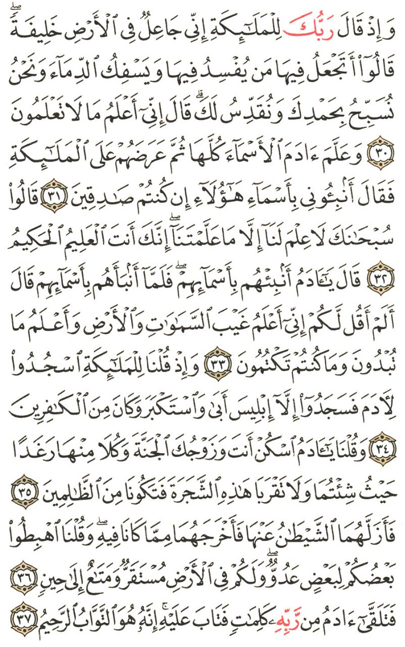 Front for سورة البقرة #4