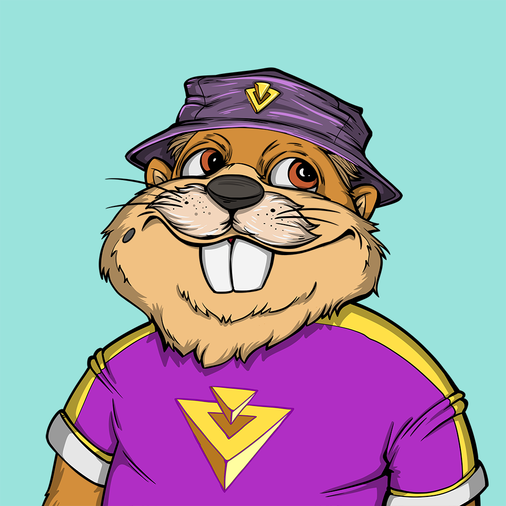 Cover image for Nexa Beef Beaver
